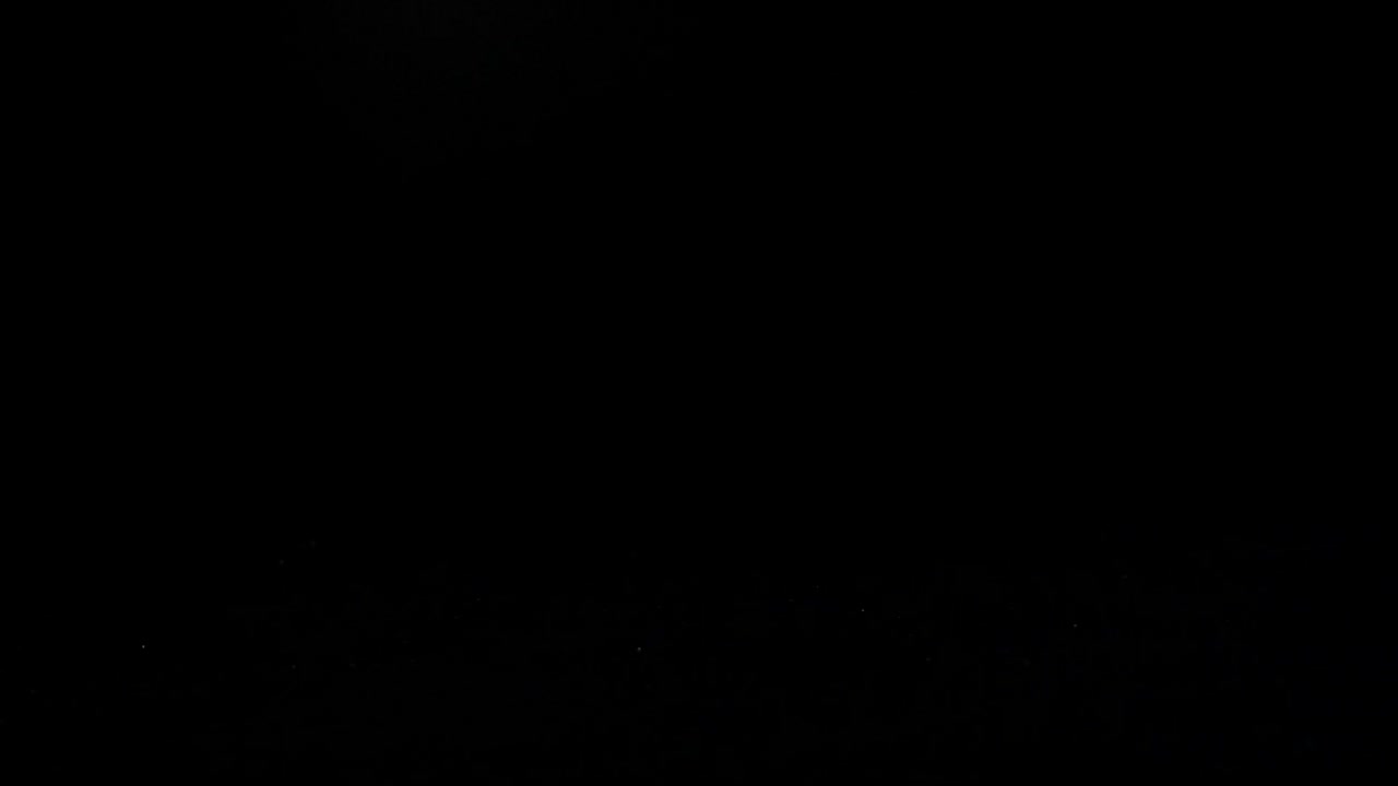   Stock Footage White Wedding Flower Live Wallpaper