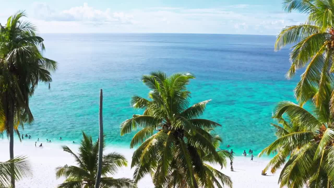   Stock Footage White Sand Paradise Beach Live Wallpaper