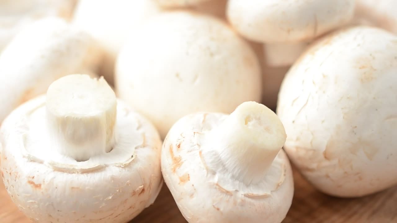  Stock Footage White Mushrooms In Detail Live Wallpaper