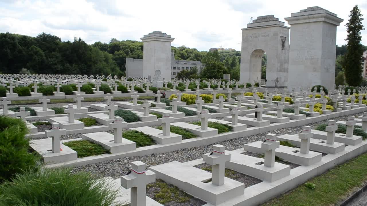   Stock Footage White Crosses At A Cemetery Live Wallpaper