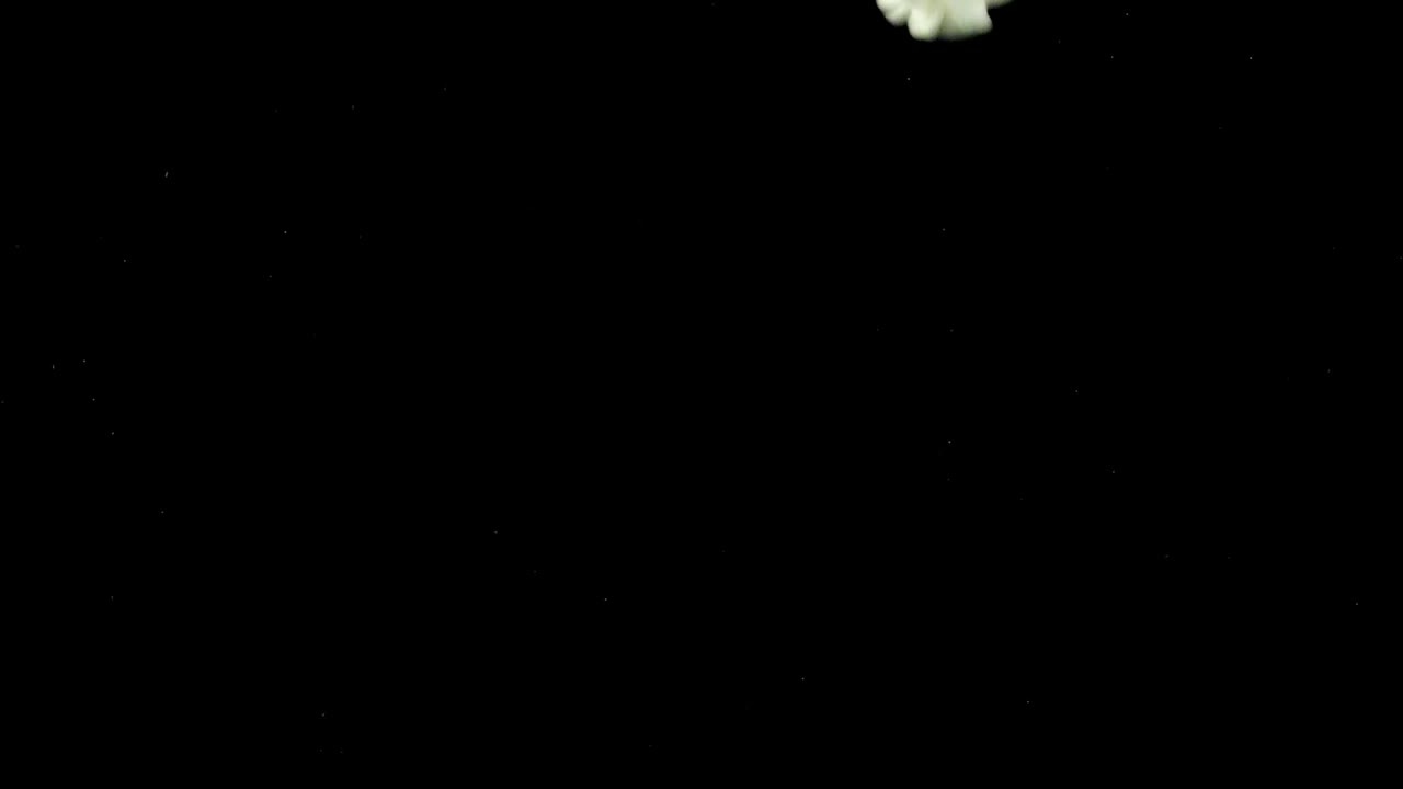   Stock Footage White And Yellow Abstract Forms Live Wallpaper