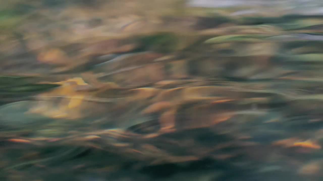   Stock Footage Wavy Water Surface Live Wallpaper