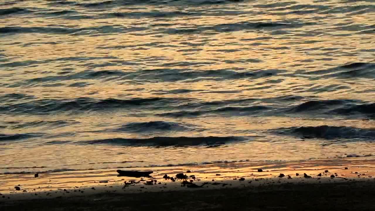   Stock Footage Waves Reflecting A Calm Sunset Live Wallpaper