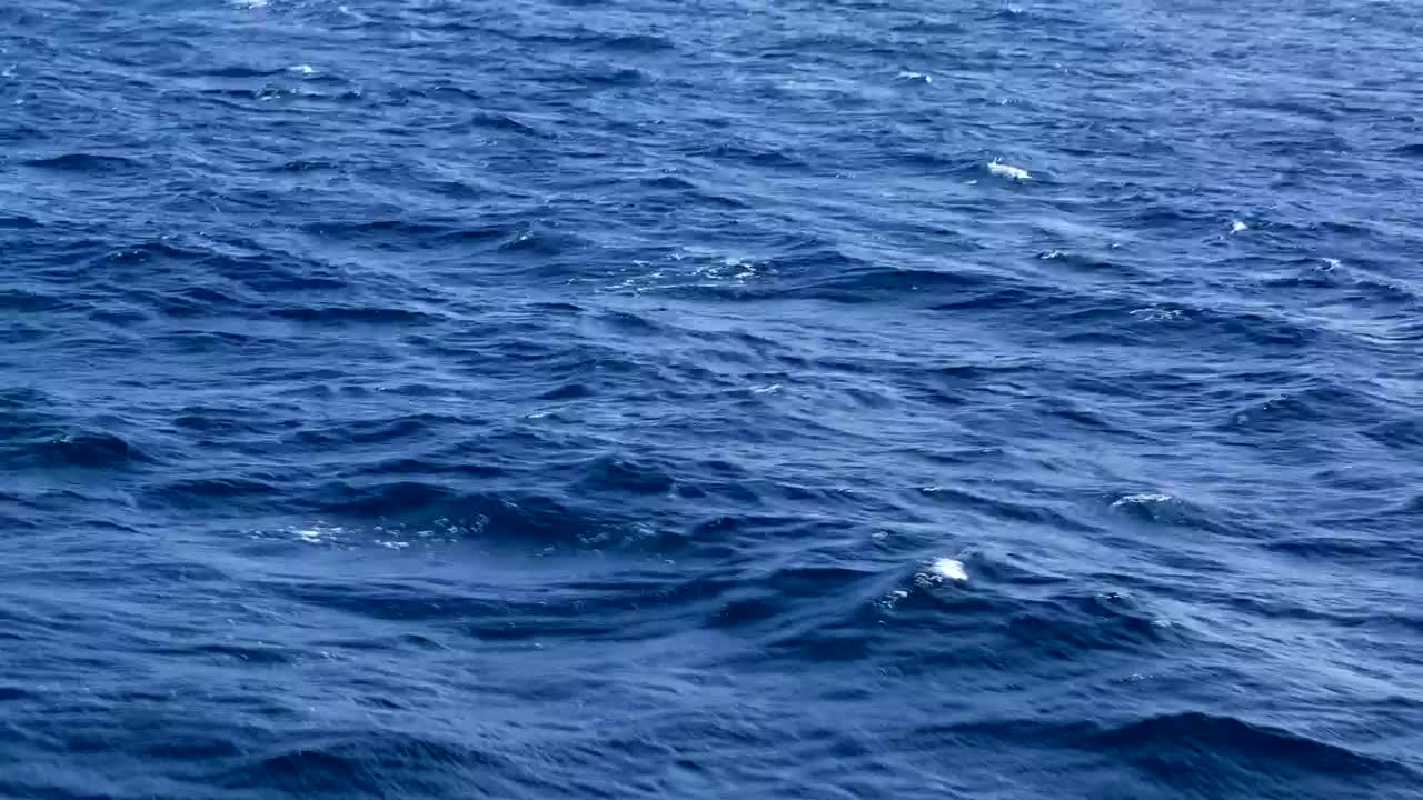   Stock Footage Waves Out On The Ocean Live Wallpaper