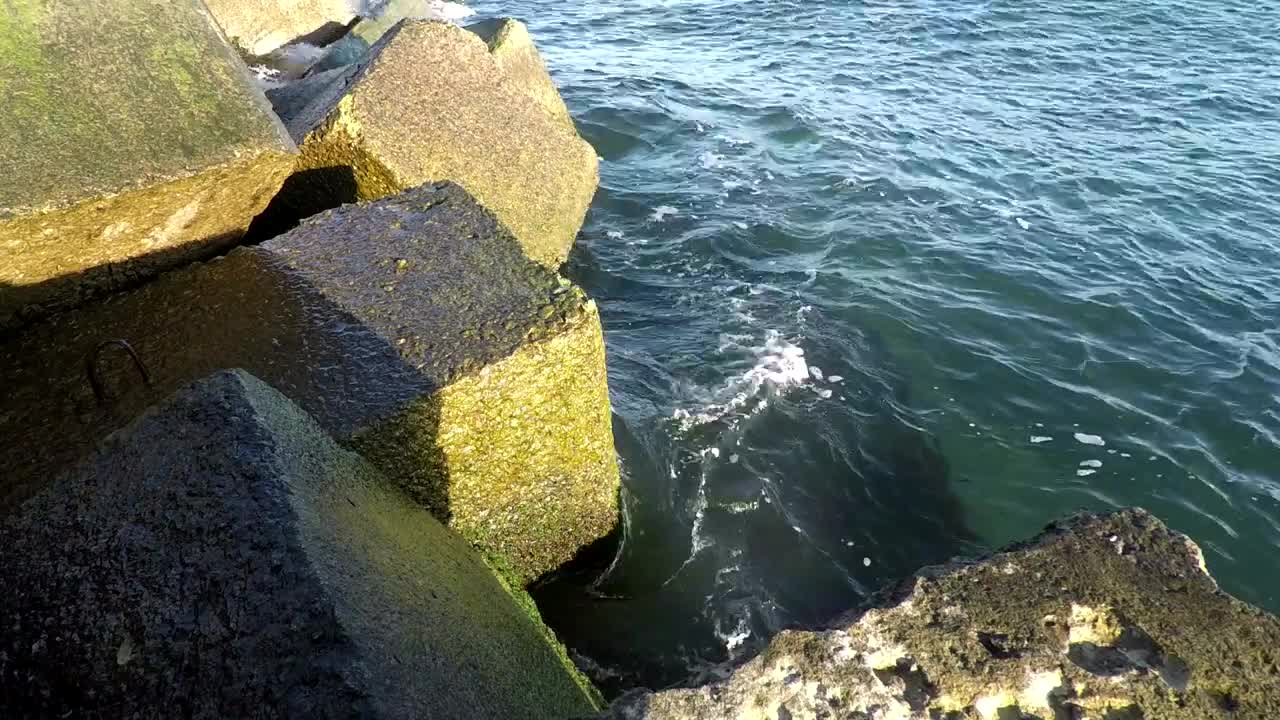   Stock Footage Waves Crashing At The Breakwater Live Wallpaper