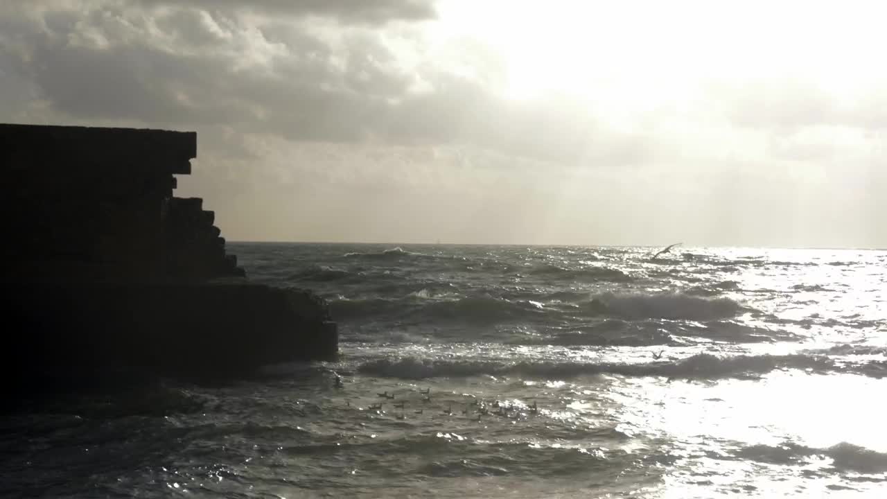   Stock Footage Waves Breaking As Birds Fly Over Live Wallpaper