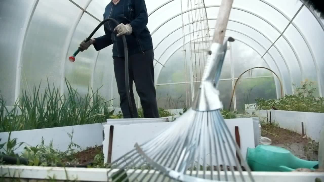   Stock Footage Watering The Plant With A Hose In The Greenhouse Live Wallpaper