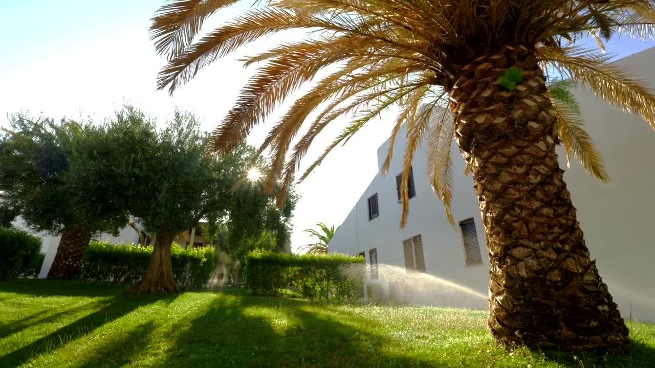   Stock Footage Watering The Grass At Home Live Wallpaper