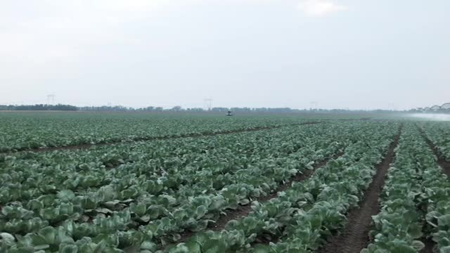   Stock Footage Watering Large Crop Fields Smalllive Wallpaper