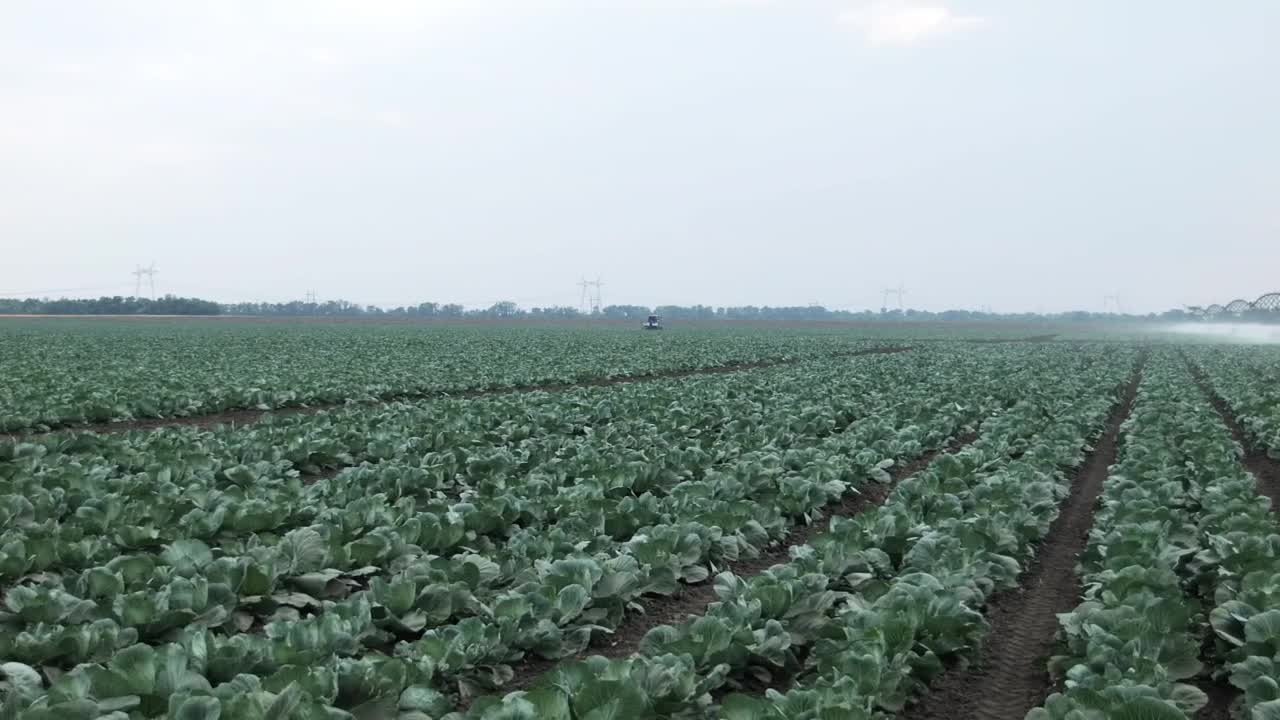   Stock Footage Watering Large Crop Fields Live Wallpaper