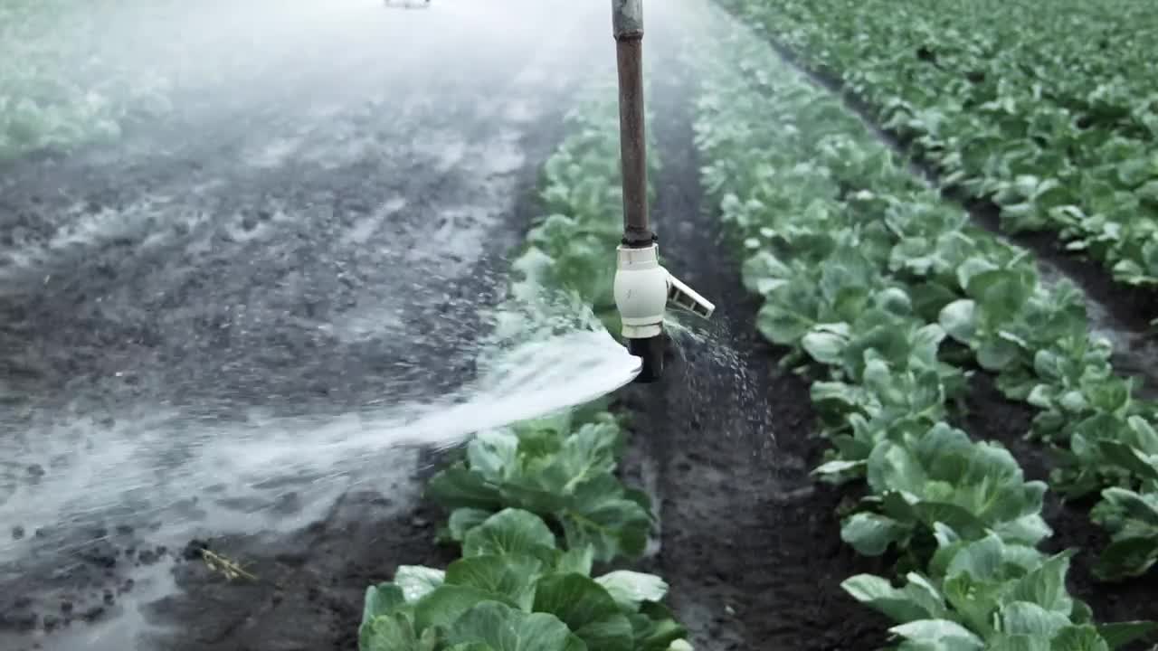   Stock Footage Watering An Agricultural Field Live Wallpaper
