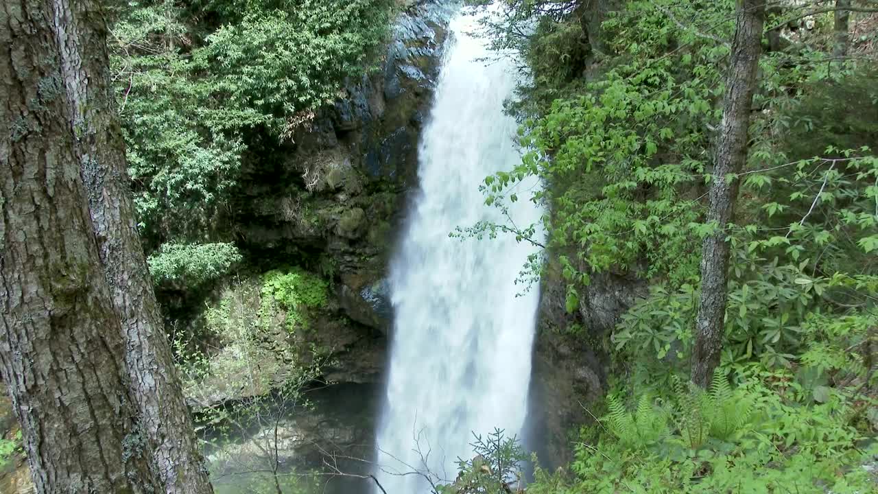   Stock Footage Waterfall In The Woods Live Wallpaper