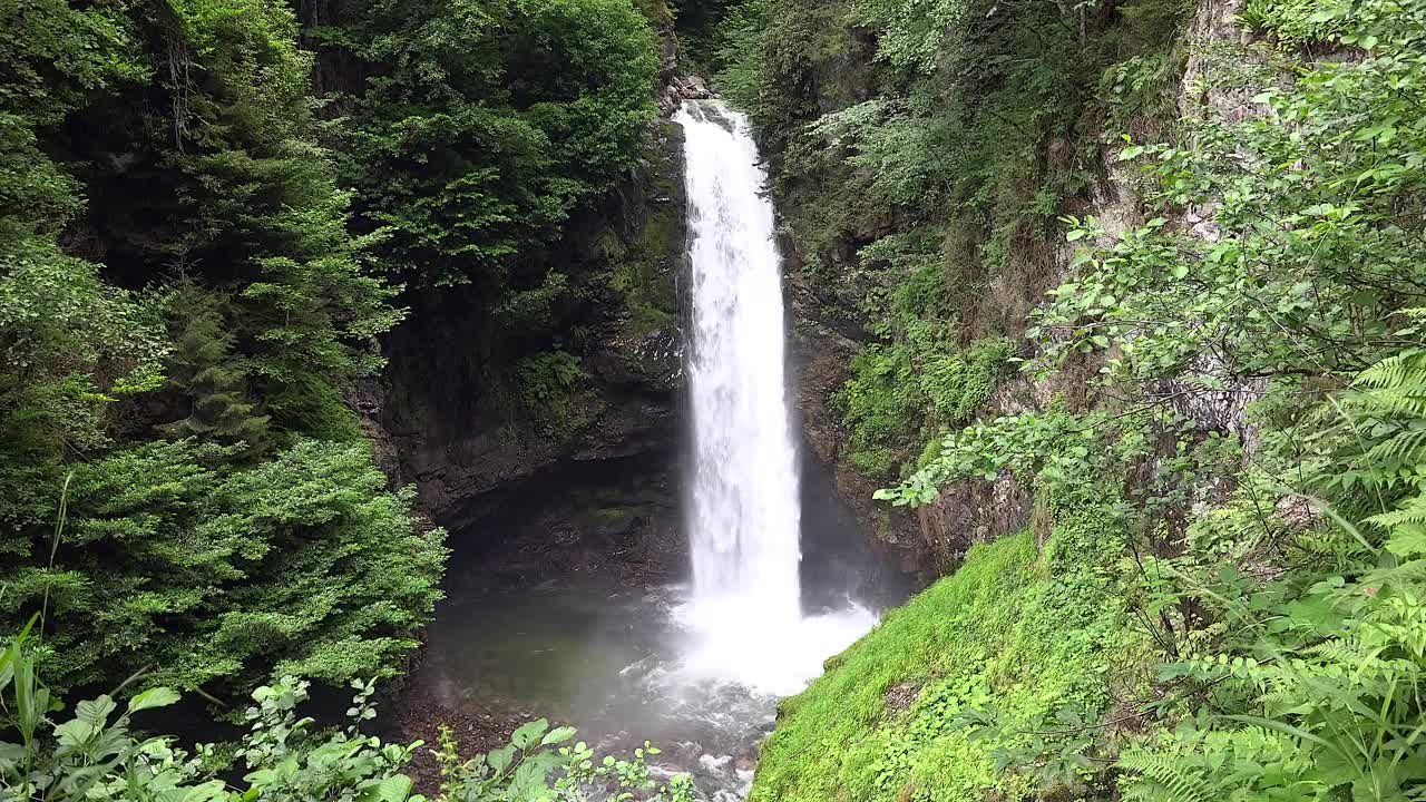   Stock Footage Waterfall In The Middle Of The Forest Live Wallpaper