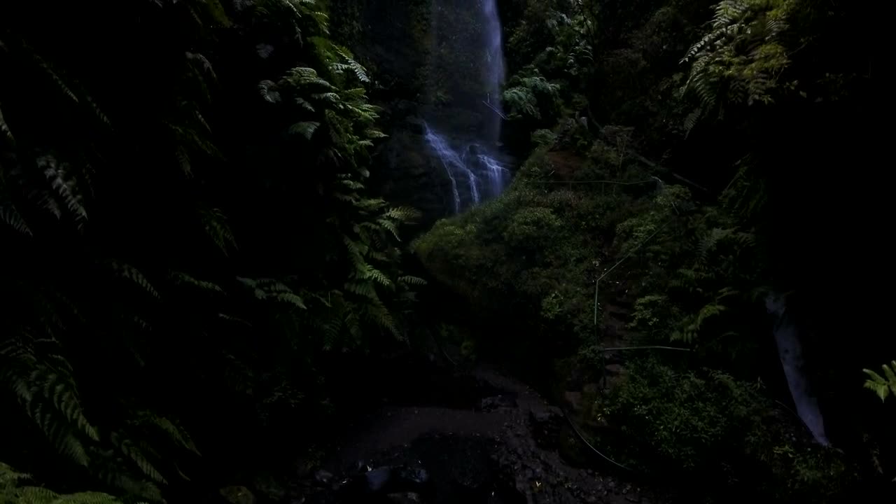   Stock Footage Waterfall In The Jungle Live Wallpaper