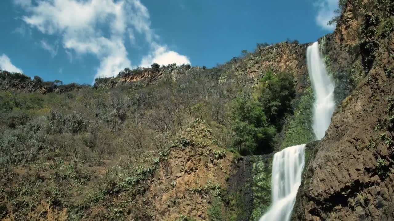   Stock Footage Waterfall In A Forest Live Wallpaper