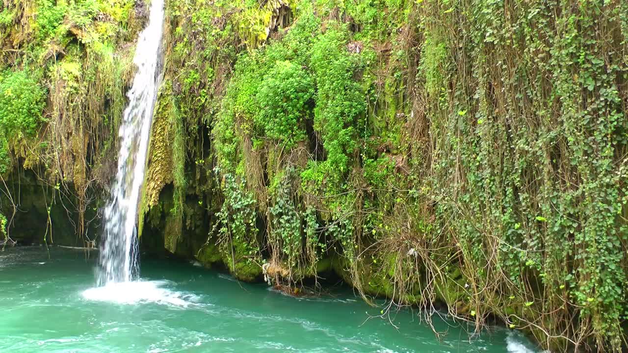  Stock Footage Waterfall In A Covered Cenote Vegetation Live Wallpaper