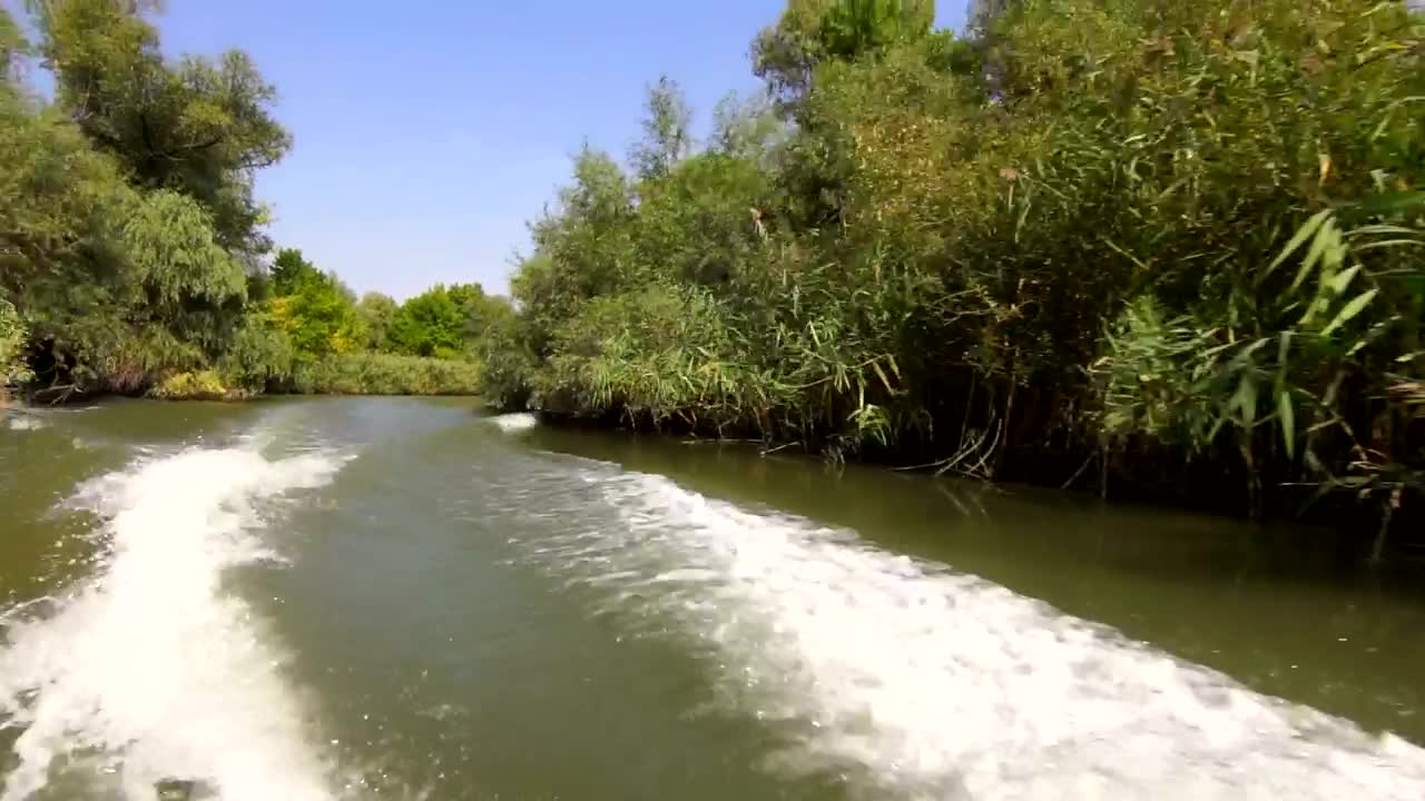   Stock Footage Water Trail Of Speed Boat Live Wallpaper