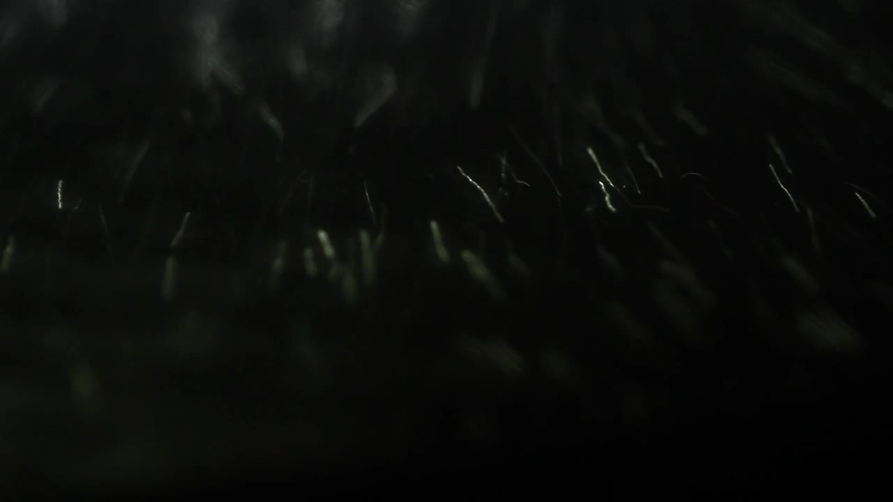   Stock Footage Water Spinning Against A Dark Background Live Wallpaper