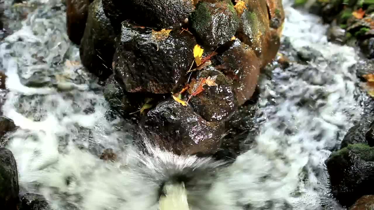   Stock Footage Water Rushing Between Stones Live Wallpaper