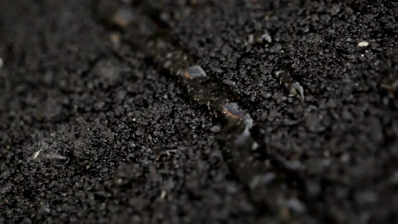   Stock Footage Water Running On The Road Surface Live Wallpaper