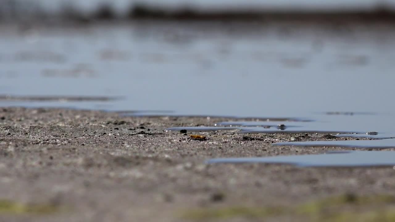   Stock Footage Water Rising In The Ground Live Wallpaper