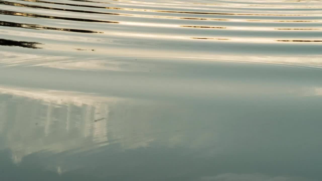   Stock Footage Water Ripples Live Wallpaper