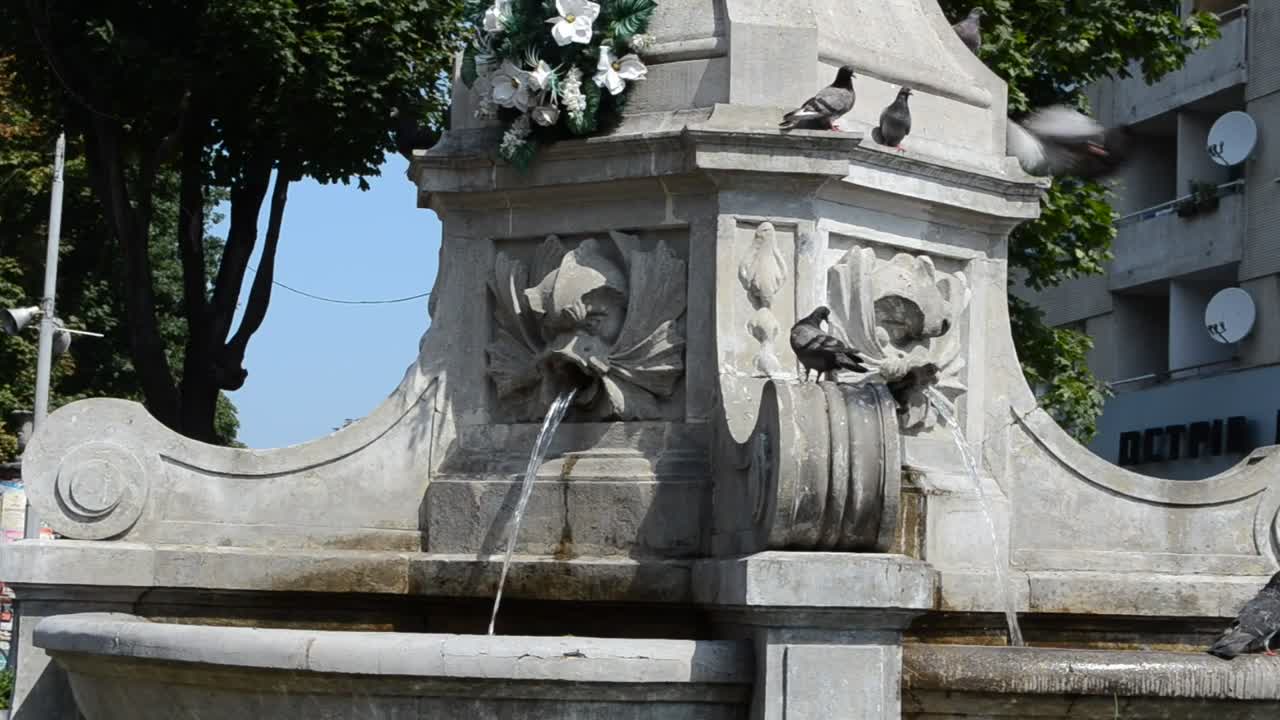   Stock Footage Water Fountain With Birds Live Wallpaper