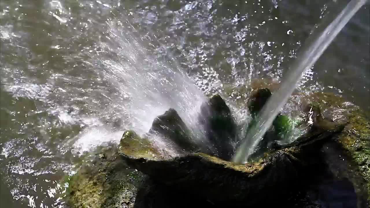   Stock Footage Water Fountain And Ornament Live Wallpaper