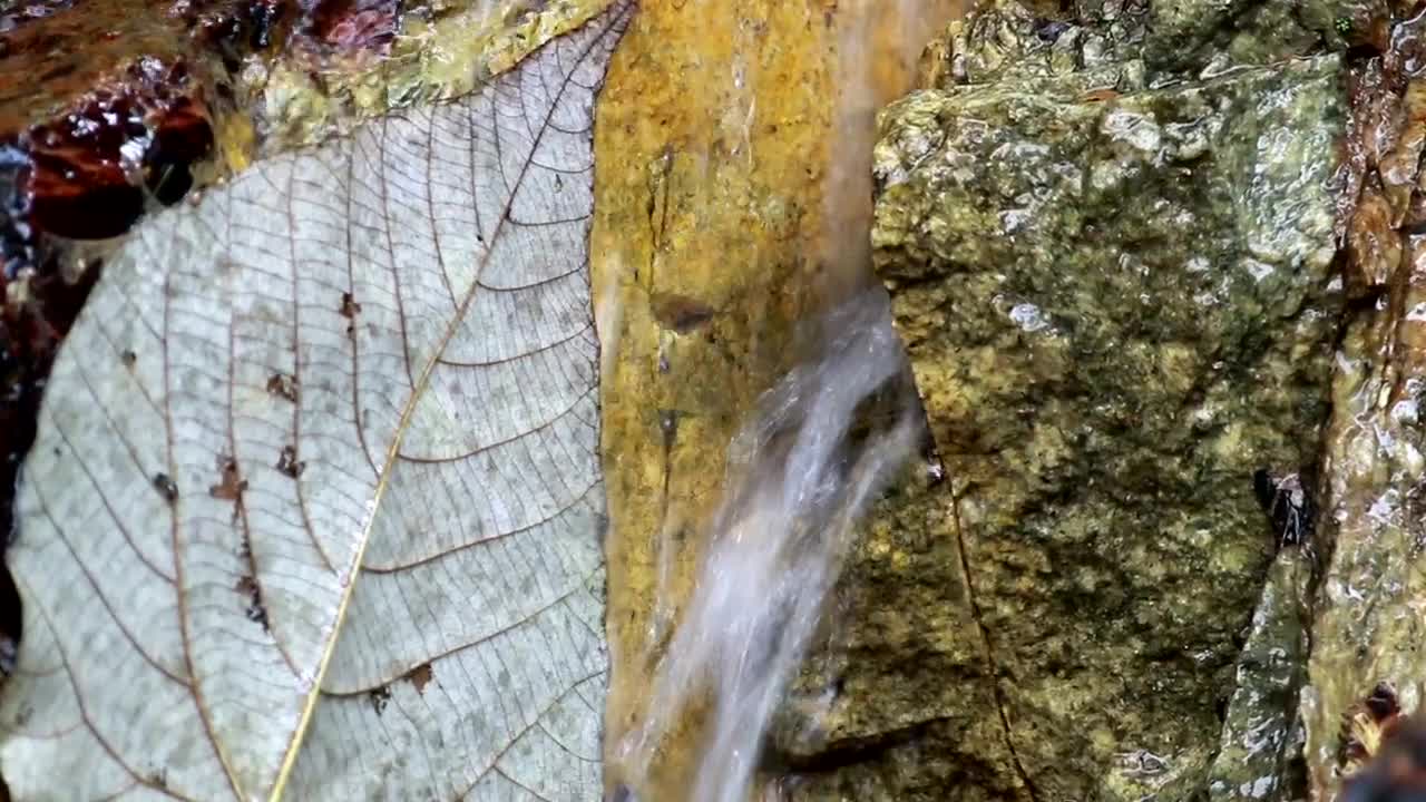   Stock Footage Water Flowing Through A Rock Live Wallpaper