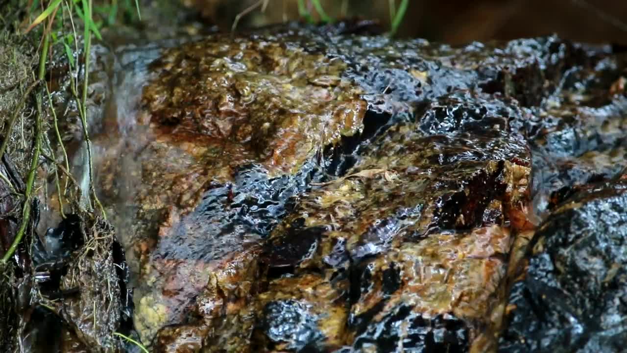   Stock Footage Water Flowing Over Muddy Rocks Live Wallpaper
