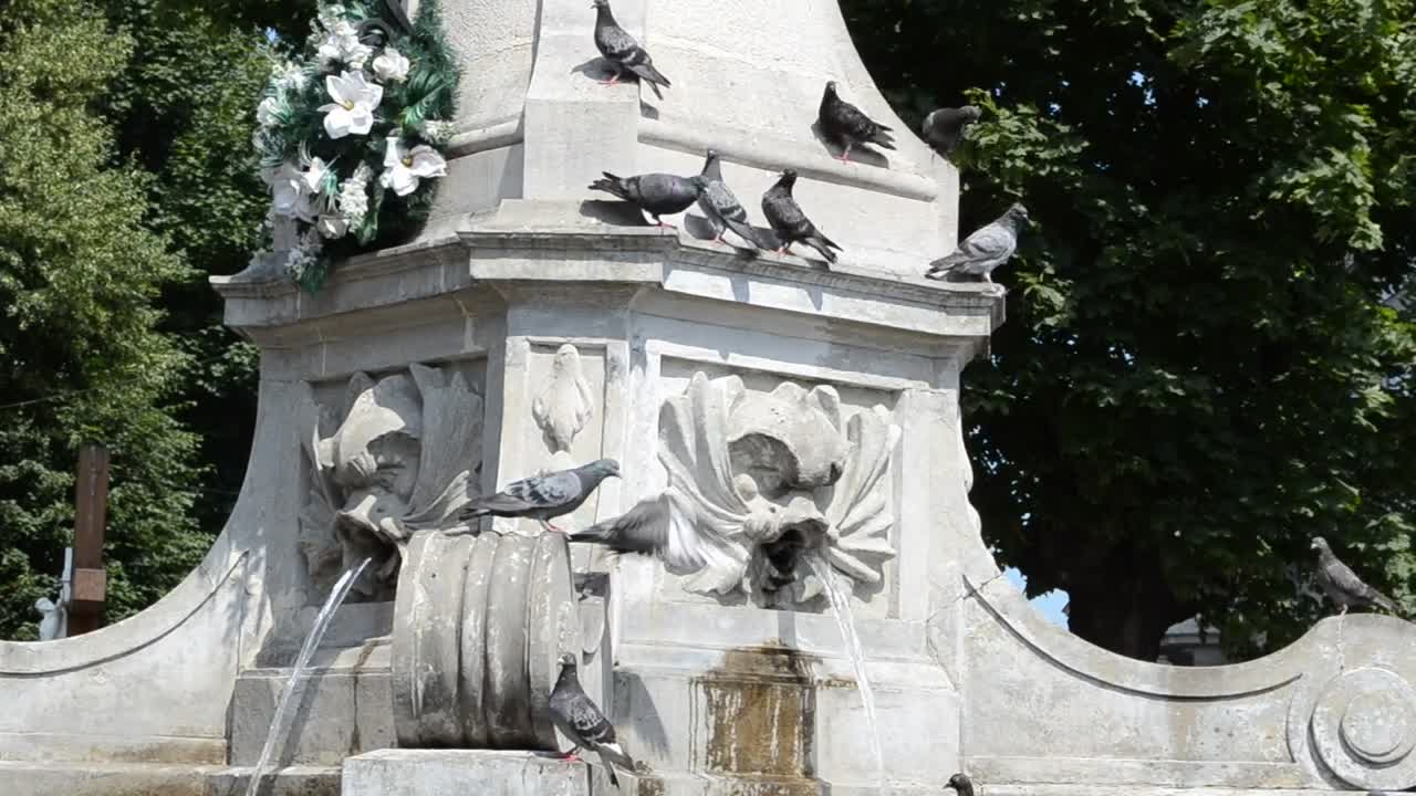   Stock Footage Water Flowing From A Fountain Live Wallpaper