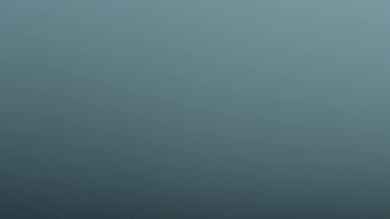   Stock Footage Water Drop With Ripples Live Wallpaper