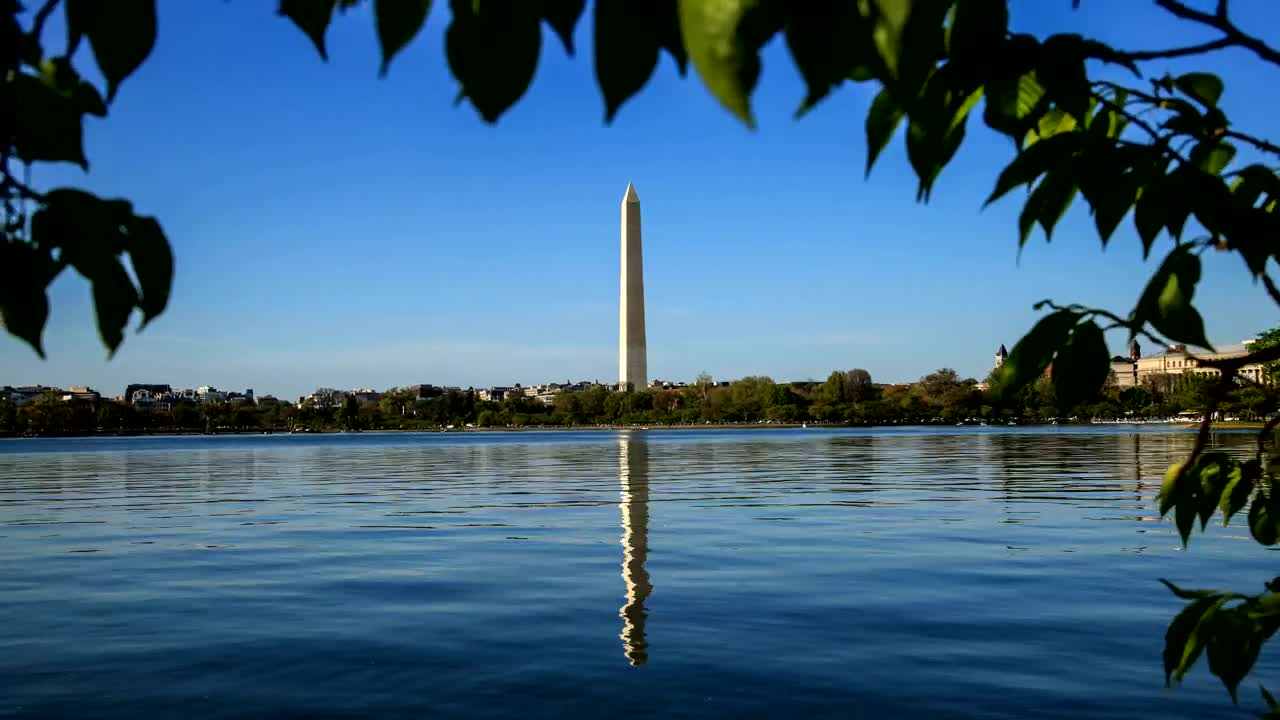   Stock Footage Washington Monument From The Trees Live Wallpaper