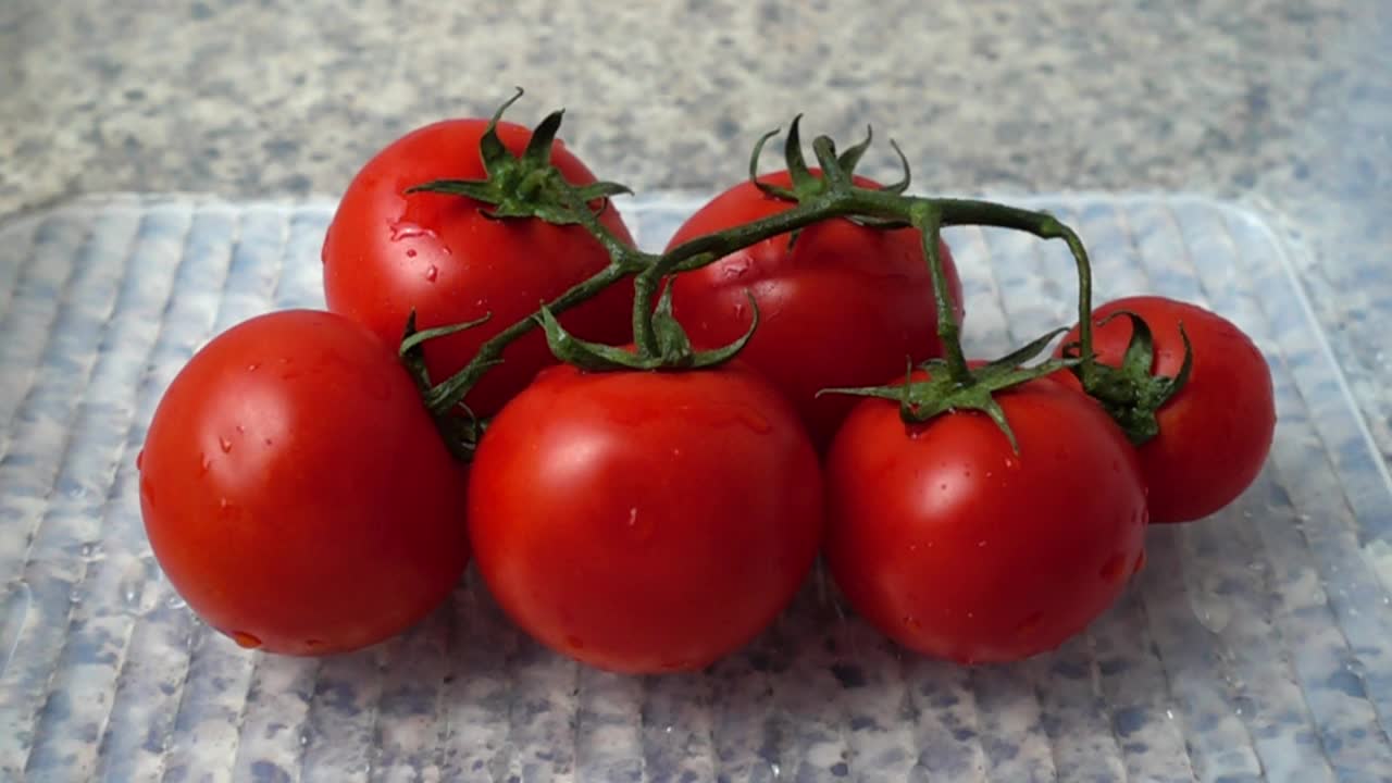   Stock Footage Washing Tomatoes Slow Motion Live Wallpaper