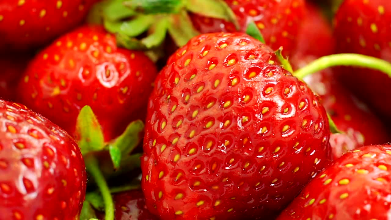   Stock Footage Washing Strawberries Close Up Live Wallpaper