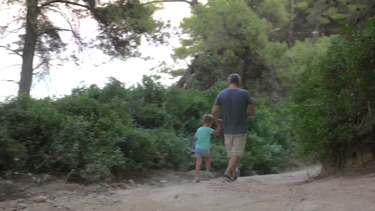   Stock Footage Walking Towards A Forest Lake Live Wallpaper