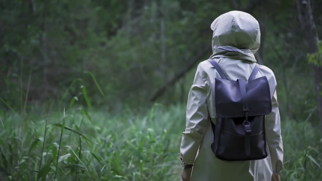   Stock Footage Walking Through The Woods Live Wallpaper