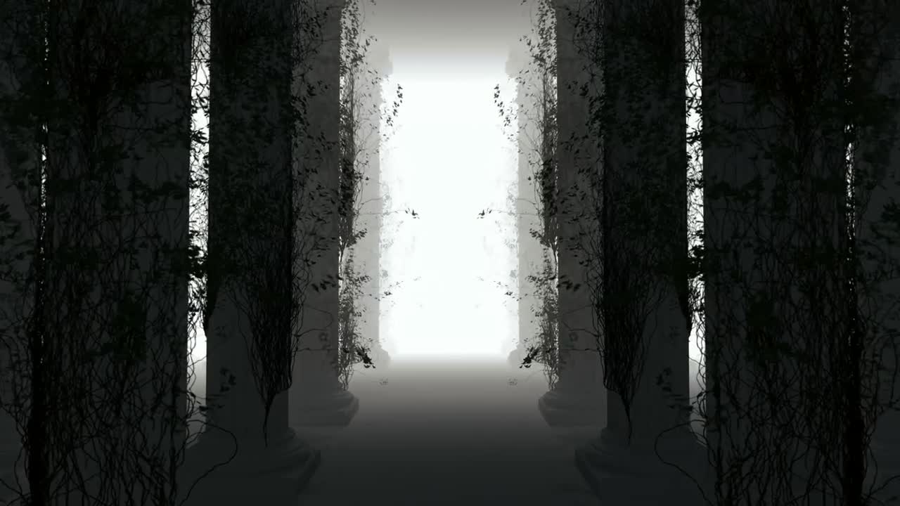   Stock Footage Walking Through A Forest With Virtual Fog D Loop Live Wallpaper
