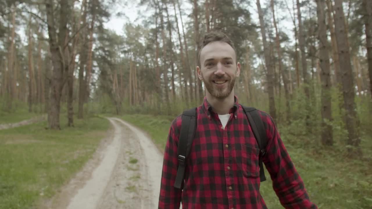   Stock Footage Walking In The Forest Behind The Leader Live Wallpaper