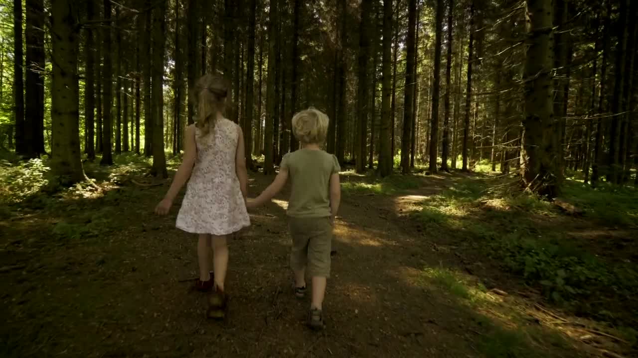   Stock Footage Walking In The Shade Live Wallpaper