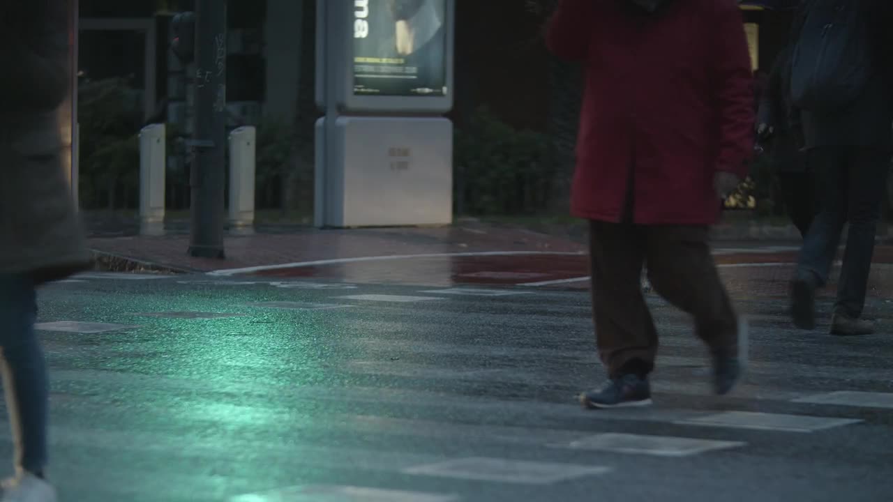   Stock Footage Walking A Dog In The Rain Live Wallpaper