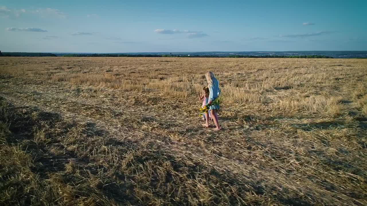   Stock Footage Walk In The Field Conceptual Video Live Wallpaper