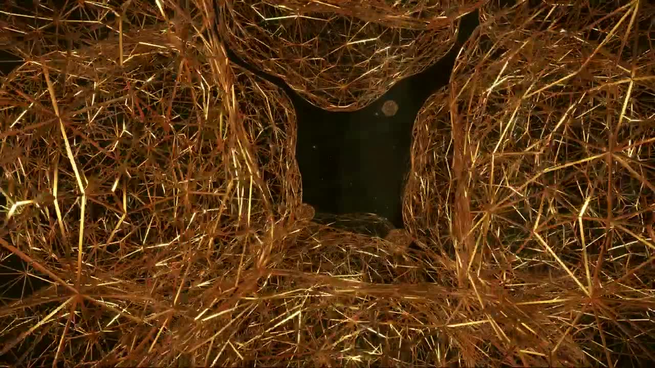   Stock Footage Voronoi Patterns Spinning Figures Live Wallpaper