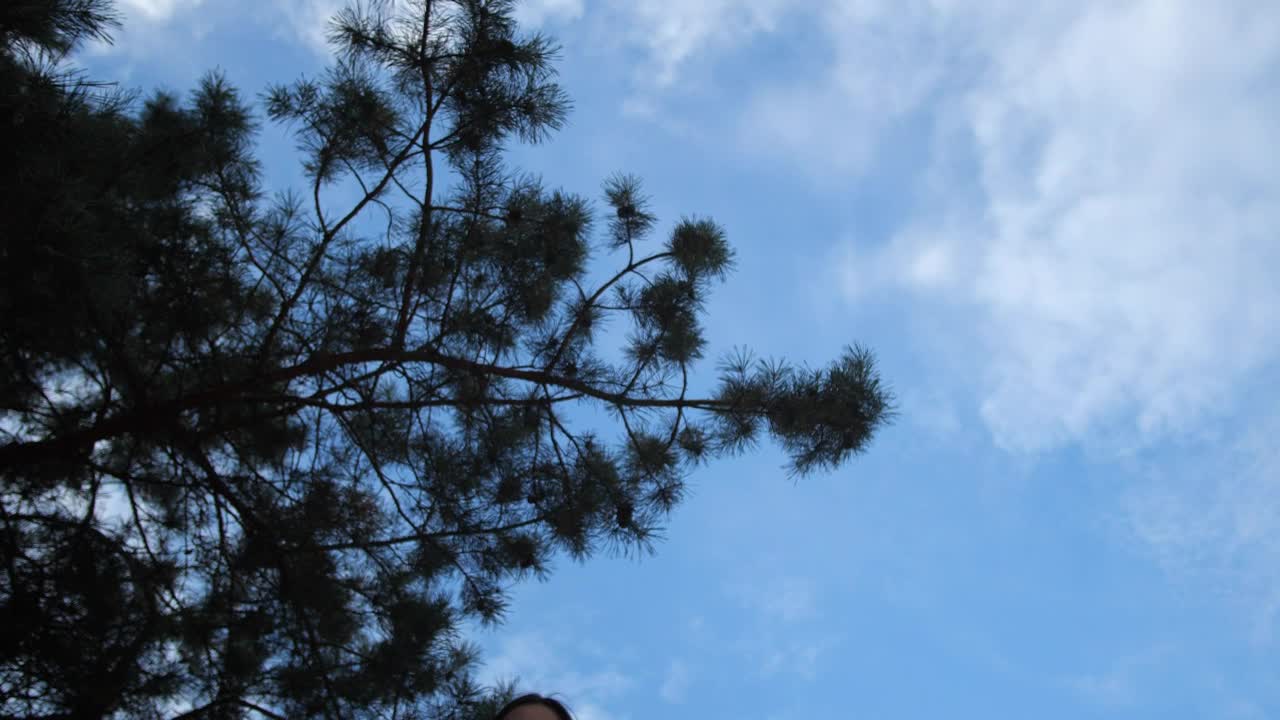   Stock Footage Volunteers Collecting Waste Plastic Live Wallpaper