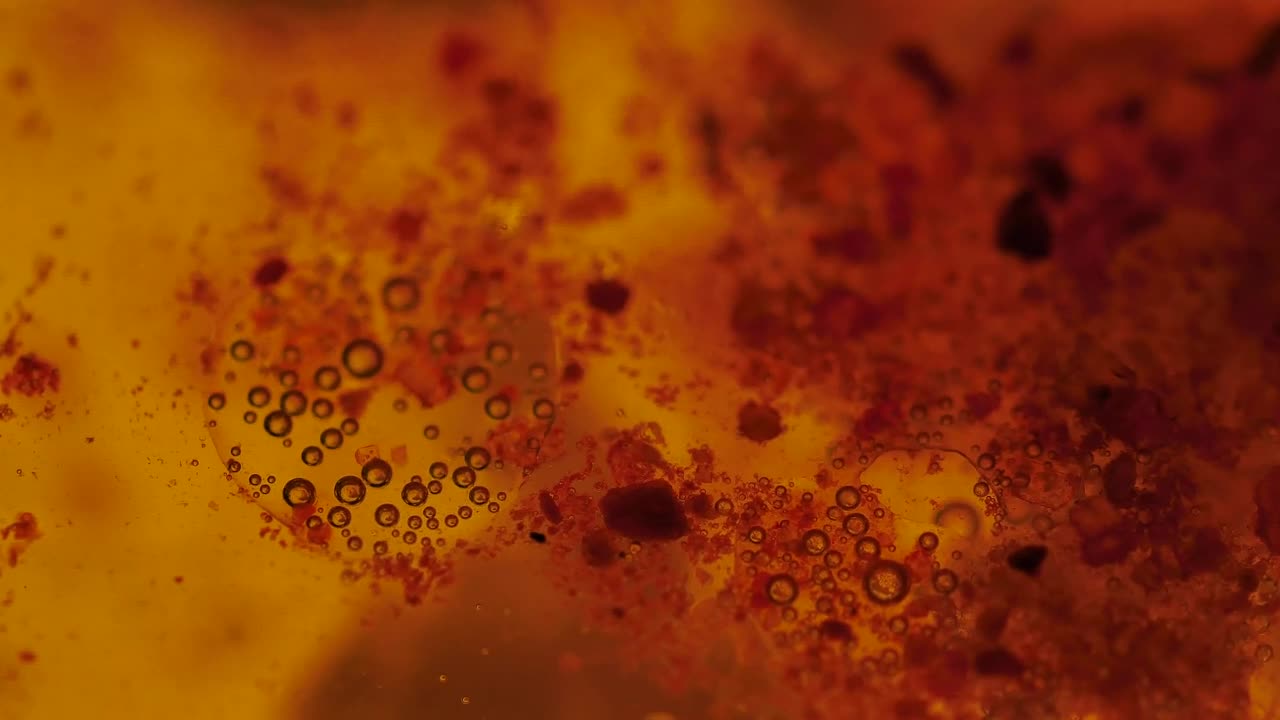   Stock Footage Viruses Absorbing Cells Live Wallpaper