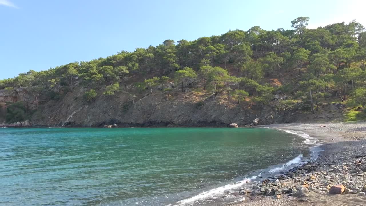   Stock Footage Virgin Tropical Beach Live Wallpaper