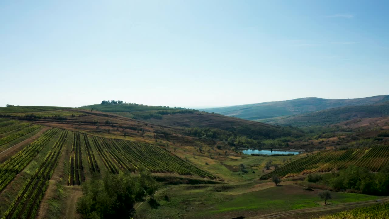   Stock Footage Vineyard With A Small Lake Live Wallpaper