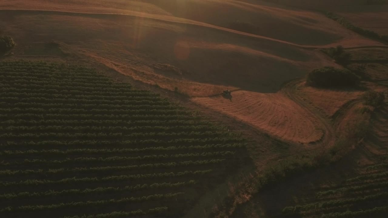   Stock Footage Vineyard As Dusk Live Wallpaper