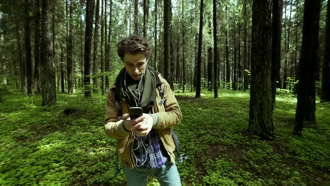   Stock Footage Video Call In The Woods Live Wallpaper
