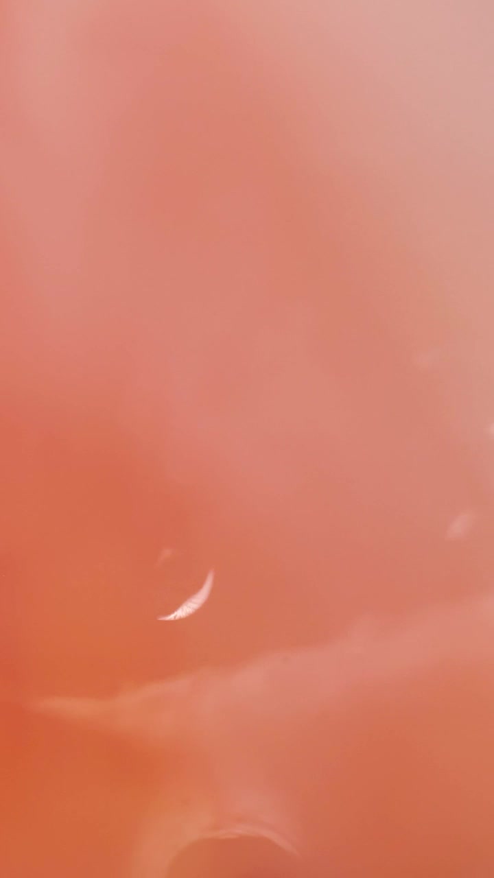   Stock Footage Vibrant Pink Abstract Water Viewed In Detail Live Wallpaper